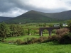 Tharbhealach Lios Póil